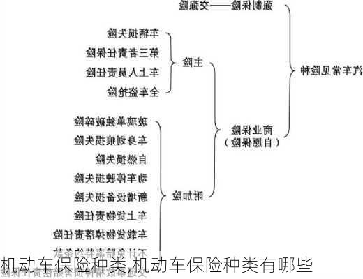 机动车保险种类,机动车保险种类有哪些