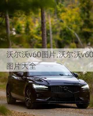 沃尔沃v60图片,沃尔沃v60图片大全