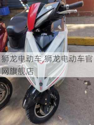 狮龙电动车,狮龙电动车官网旗舰店