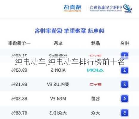 纯电动车,纯电动车排行榜前十名