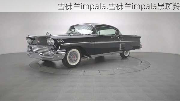 雪佛兰impala,雪佛兰impala黑斑羚