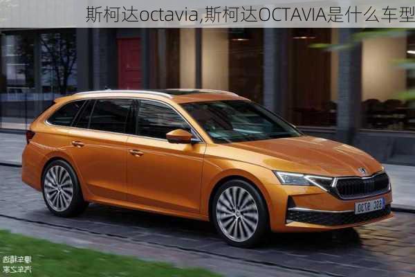 斯柯达octavia,斯柯达OCTAVIA是什么车型