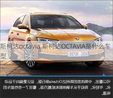 斯柯达octavia,斯柯达OCTAVIA是什么车型