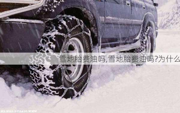 雪地胎费油吗,雪地胎费油吗?为什么