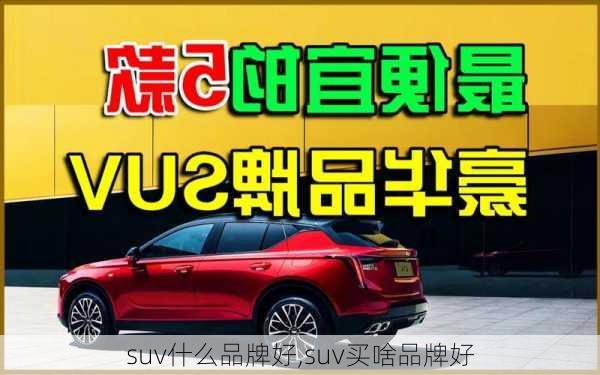 suv什么品牌好,suv买啥品牌好