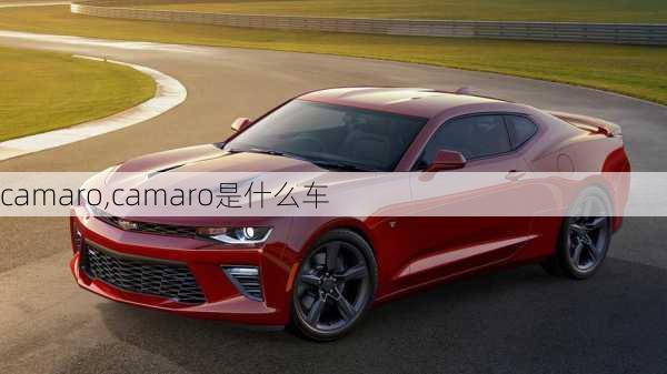 camaro,camaro是什么车