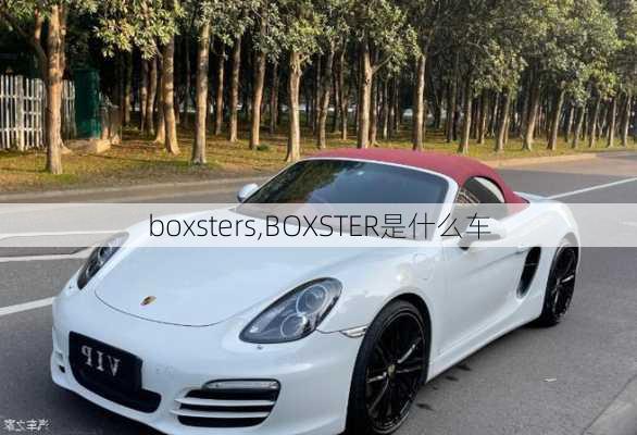 boxsters,BOXSTER是什么车