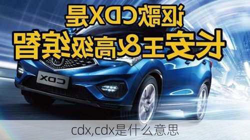 cdx,cdx是什么意思