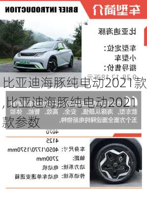 比亚迪海豚纯电动2021款,比亚迪海豚纯电动2021款参数