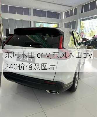 东风本田 cr-v,东风本田crv240价格及图片