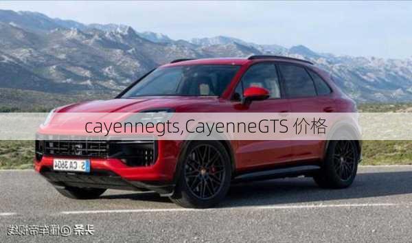 cayennegts,CayenneGTS 价格