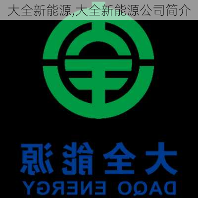 大全新能源,大全新能源公司简介