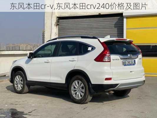 东风本田cr-v,东风本田crv240价格及图片