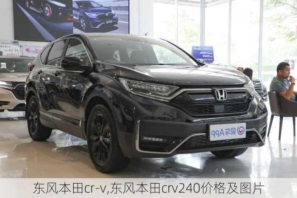 东风本田cr-v,东风本田crv240价格及图片