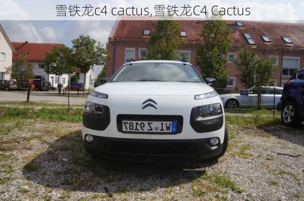 雪铁龙c4 cactus,雪铁龙C4 Cactus