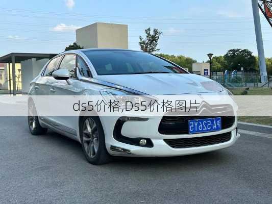 ds5价格,Ds5价格图片