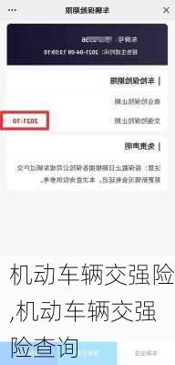 机动车辆交强险,机动车辆交强险查询