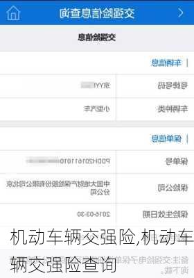 机动车辆交强险,机动车辆交强险查询