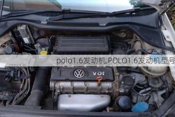 polo1.6发动机,POLO1.6发动机型号