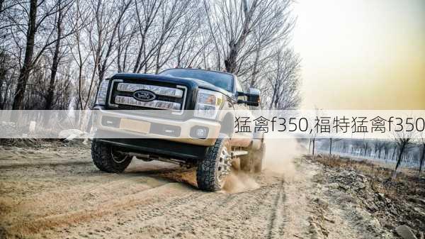 猛禽f350,福特猛禽f350