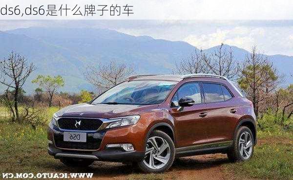 ds6,ds6是什么牌子的车