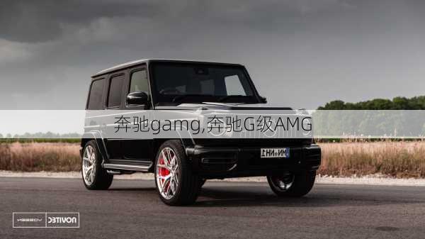 奔驰gamg,奔驰G级AMG