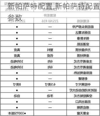 新帕萨特配置,新帕萨特配置参数