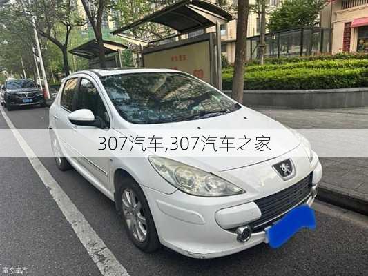 307汽车,307汽车之家