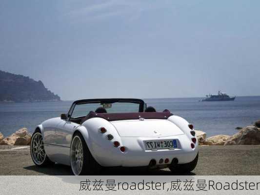 威兹曼roadster,威兹曼Roadster