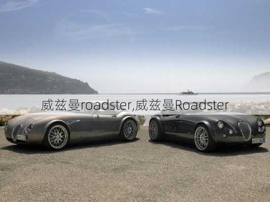 威兹曼roadster,威兹曼Roadster