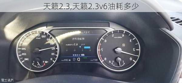 天籁2.3,天籁2.3v6油耗多少