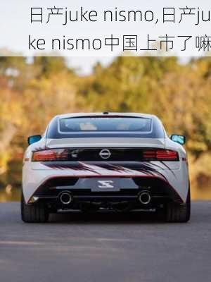 日产juke nismo,日产juke nismo中国上市了嘛