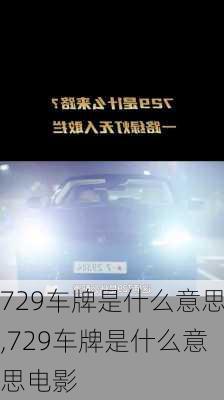 729车牌是什么意思,729车牌是什么意思电影