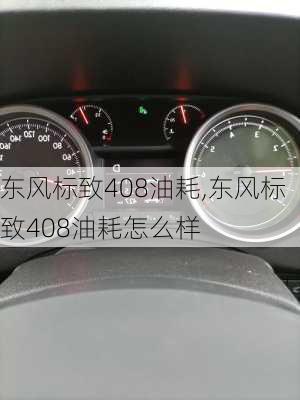 东风标致408油耗,东风标致408油耗怎么样