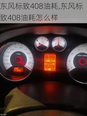 东风标致408油耗,东风标致408油耗怎么样