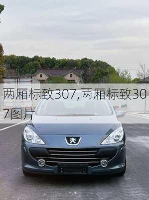 两厢标致307,两厢标致307图片