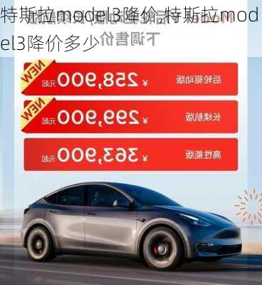 特斯拉model3降价,特斯拉model3降价多少