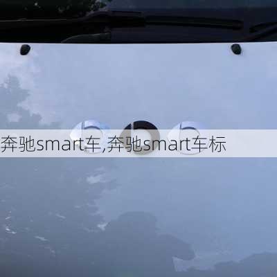 奔驰smart车,奔驰smart车标