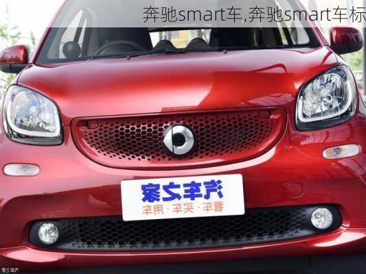 奔驰smart车,奔驰smart车标