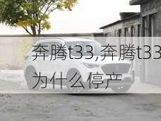 奔腾t33,奔腾t33为什么停产