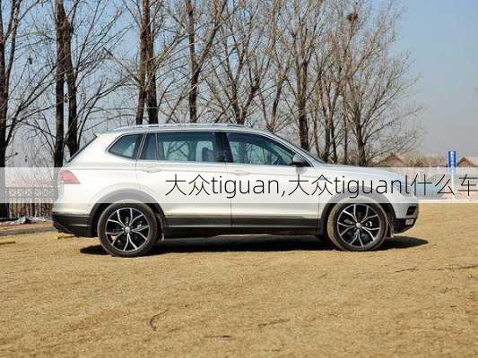 大众tiguan,大众tiguanl什么车