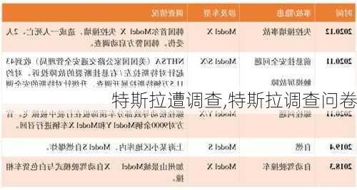 特斯拉遭调查,特斯拉调查问卷