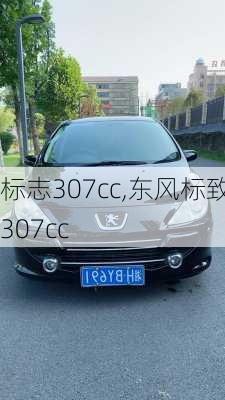 标志307cc,东风标致307cc