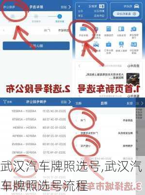 武汉汽车牌照选号,武汉汽车牌照选号流程