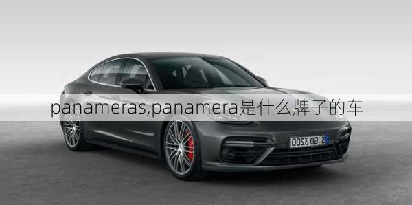 panameras,panamera是什么牌子的车