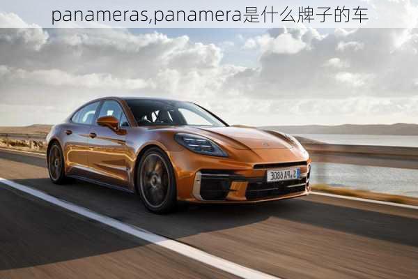 panameras,panamera是什么牌子的车