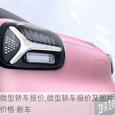 微型轿车报价,微型轿车报价及图片 价格 新车