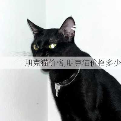 朋克猫价格,朋克猫价格多少