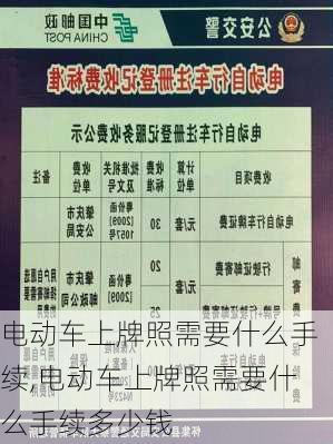 电动车上牌照需要什么手续,电动车上牌照需要什么手续多少钱