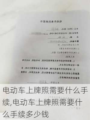 电动车上牌照需要什么手续,电动车上牌照需要什么手续多少钱